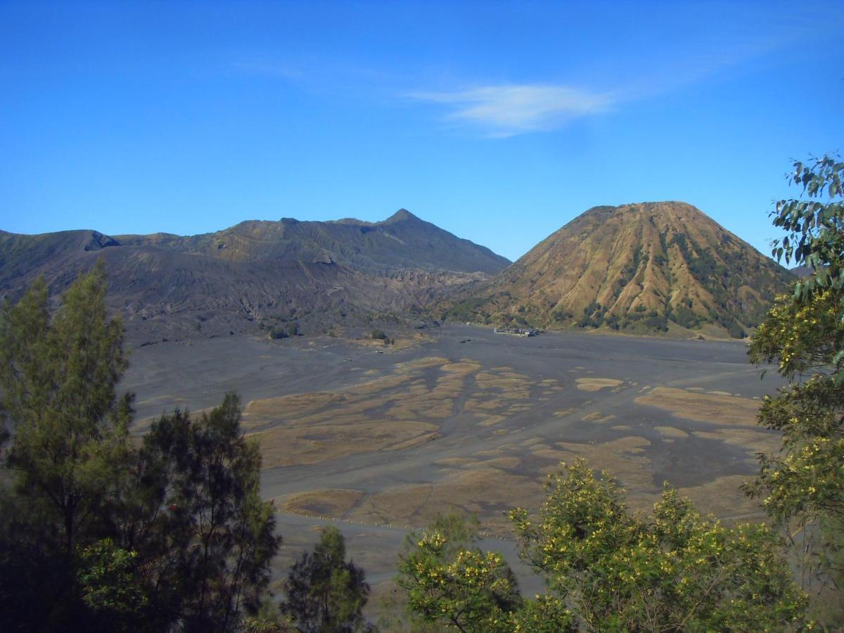 Cahyo Homestay Bromo Luaran gambar
